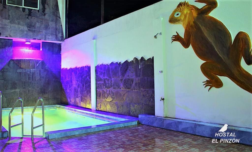 Hostal El Pinzon Puerto Ayora  Exteriör bild